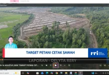 Pemerintah Tahun ini Menargetkan Cetak Lahan Sawah dibuka Seluas-luasnya