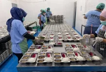 Perkuat Pemasaran, SPPG Bukit Arung Sejahtera Siap Tampung Hasil Tani Lokal