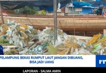 Pelampung Bekas Rumput Laut Jangan Dibuang, Bisa Jadi Uang