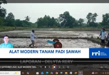 Petani di Kelurahan Mansapa saat ini Sudah Menggunakan Alat Pertanian Modern