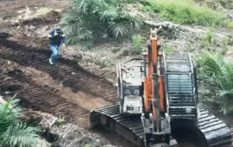 Polda Riau Tetapkan Dua Tersangka Perambahan Hutan di Area Koperasi Ikram Ro