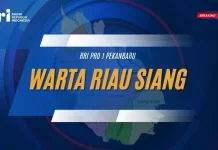 Basarnas Turut Dilibatkan dalam Kesiapsiagaan Karhutla