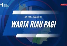 Pemprov Riau dan Green for Riau Dorong Pelestarian Hutan Riau dan Perlindung