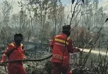 Penanganan Karhutla Tetap Dilakukan