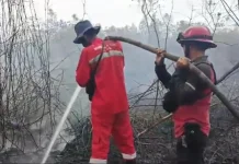 Karhutla di Riau Terkendali Berkat Kolaborasi Semua Pihak