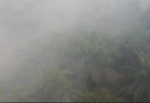 Manggala Agni Fokus Pemadaman Enam Lokasi Karhutla di Riau