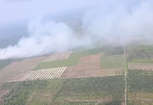 Pemprov Riau Perkuat Penanganan Karhutla