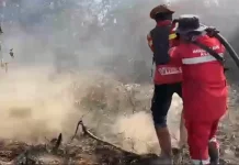 Potensi Karhutla Meningkat Semua Pihak Diimbau Tidak Membakar Lahan