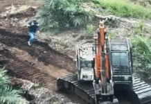 Polda Riau Tetapkan Dua Tersangka Perambahan Hutan di Area Koperasi Ikram Ro