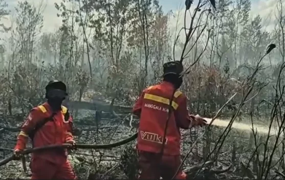 Berita Video - Penanganan Karhutla Tetap Dilakukan - RRI.co.id