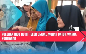 Puluhan Ribu Butir Telur Dijual Murah untuk Warga Pontianak