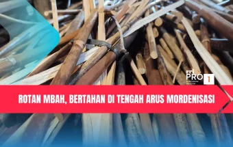 Rotan Mbah, Bertahan di tengah Arus Mordenisasi