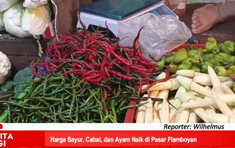 Harga Sayur, Cabai, dan Ayam Naik di Pasar Flamboyan