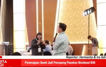 Peremajaan Sawit Jadi Penopang Pasokan Biodiesel B50