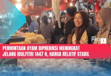 Permintaan Ayam Diprediksi Meningkat jelang Idulfitri 1447 H, Harga Stabil
