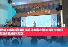 Sinergi MBG di Kalbar, BGN Dorong UMKM dan BUMDes Perkuat Rantai Pasok