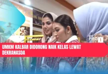 UMKM Kalbar Didorong Naik Kelas lewat Dekranasda