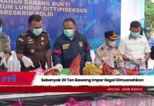 Sebanyak 20 Ton Bawang Impor Ilegal Dimusnahkan