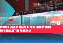 Ratusan Arwana Tampil di APPS International Arowana Contest Pontianak