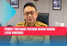 Pemkot Pontianak Pastikan Hewan Kurban Layak Konsumsi