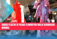 Harga Plastik di Pasar Flamboyan Mulai Berangsur Normal
