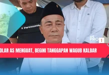Dolar AS Menguat, Begini Tanggapan Wagub Kalbar