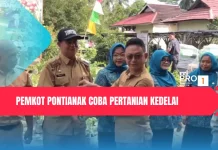 Pemkot Pontianak Coba Pertanian Kedelai