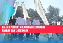Kalbar Perkuat Kolaborasi Ketahanan Pangan dan Lingkungan