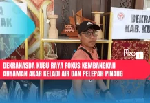 Dekranasda Kubu Raya Fokus Kembangkan Anyaman Akar Keladi Air dan Pelepah Pinang