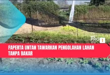 Faperta Untan Tawarkan Pengolahan Lahan tanpa Bakar