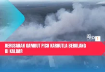Kerusakan Gambut Picu Karhutla Berulang di Kalbar