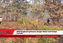 BPBD Bengkayang Berpacu dengan Medan Sulit Hadapi Karhutla
