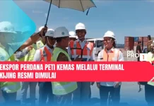 Ekspor Perdana Peti Kemas Melalui Terminal Kijing Resmi Dimulai