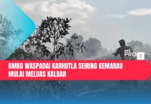 BMKG Waspadai Karhutla Seiring Kemarau Mulai Meluas Kalbar