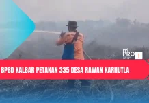 BPBD Kalbar Petakan 335 Desa Rawan Karhutla