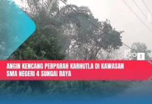 Angin Kencang Perparah Karhutla di Kawasan SMA Negeri 4 Sungai Raya