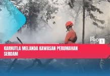 Karhutla Melanda  Kawasan Perumahan Serdam
