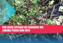 Rudi Bacok Ciptakan Geo Mangrove RB5 Lindungi Pesisir Kubu Raya