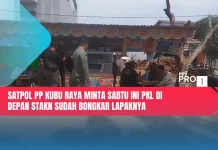 Satpol PP Kubu Raya Minta Sabtu Ini PKL di Depan STAKN Sudah Bongkar Lapaknya