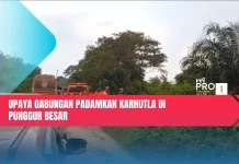Upaya Gabungan Padamkan Karhutla di Punggur Besar