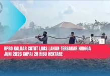 BPBD Kalbar Catat Luas Lahan Terbakar hingga Juni 2026 Capai 28 Ribu Hektare