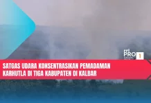 Satgas Udara Konsentrasikan Pemadaman Karhutla di Tiga Kabupaten di Kalbar