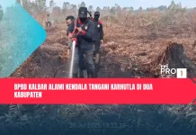 BPBD Kalbar Alami Kendala Tangani Karhutla di Dua Kabupaten