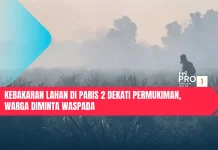 Kebakaran Lahan di Paris 2 Dekati Permukiman, Warga Diminta Waspada