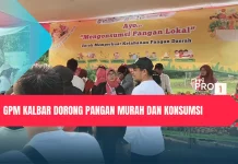GPM Kalbar Dorong Pangan Murah dan Konsumsi Pangan Lokal