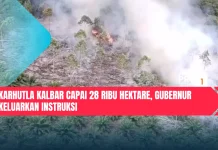 Karhutla Kalbar Capai 28 Ribu Hektare, Gubernur Keluarkan Instruksi