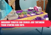 Anggaran Terbatas dan Edukasi Jadi Tantangan Tekan Stunting Kubu Raya