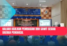 Kalbar Usulkan Pembagian DBH Sawit Sesuai Daerah Penghasil