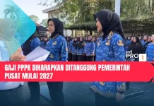 Gaji PPPK Diharapkan Ditanggung Pemerintah Pusat Mulai 2027