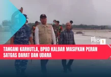 Tangani Karhutla, BPBD Kalbar Masifkan Peran Satgas Darat dan Udara